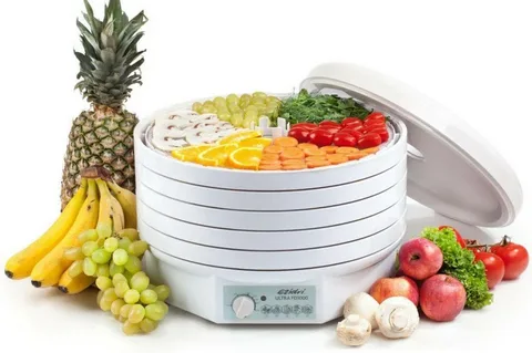 ezidri dehydrator