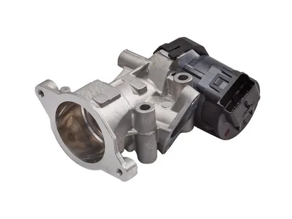 RA Rodeo EGR Valve