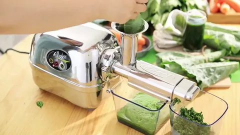 Angel Slow Juicer